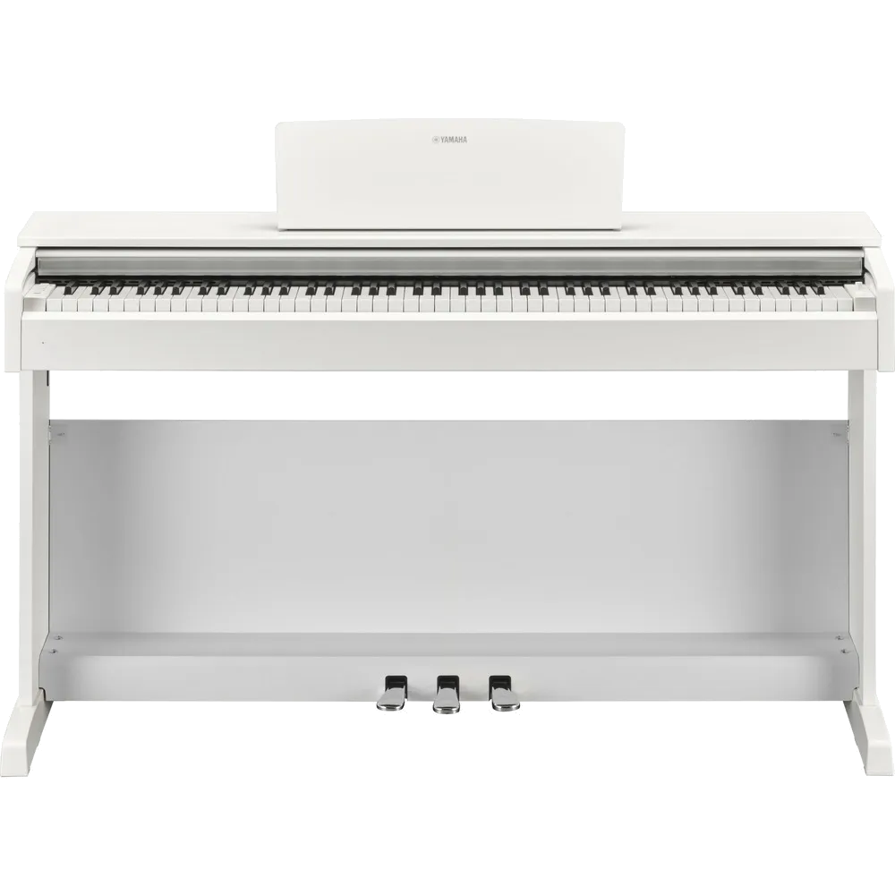 YDP-144